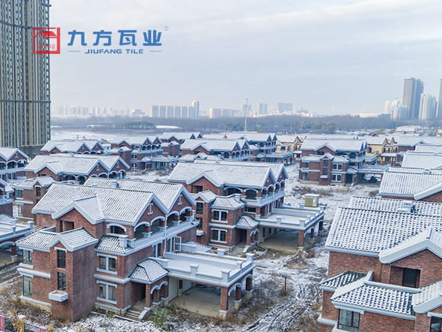 �Ų�����(�й���)���޹�˾����