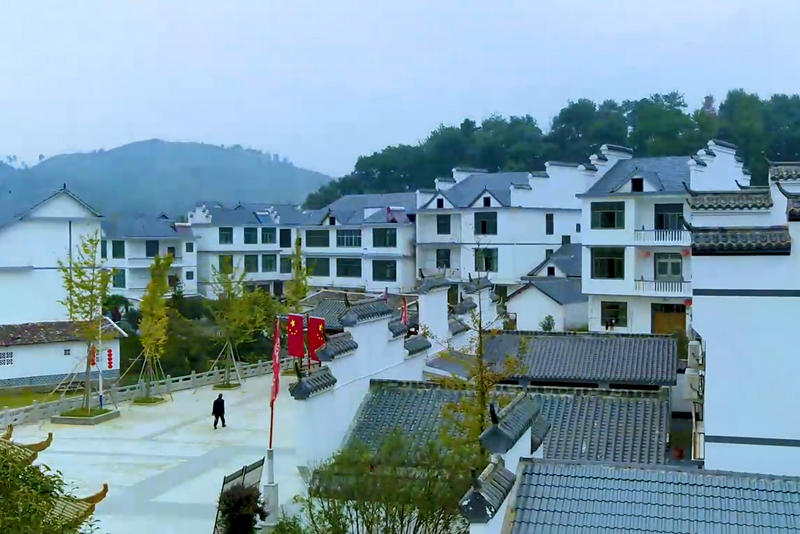 �Ų�����(�й���)���޹�˾����