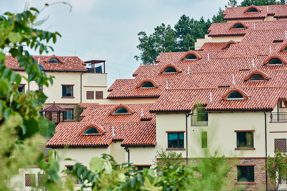 �Ų���ժҪ2023��29��