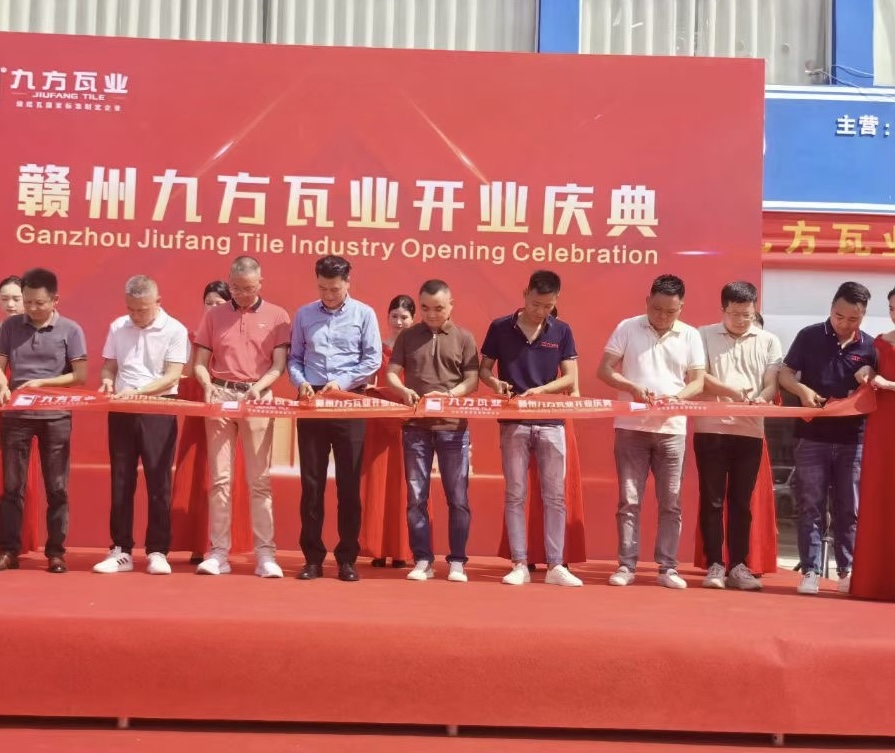 �Ų���ժҪ2024��11��