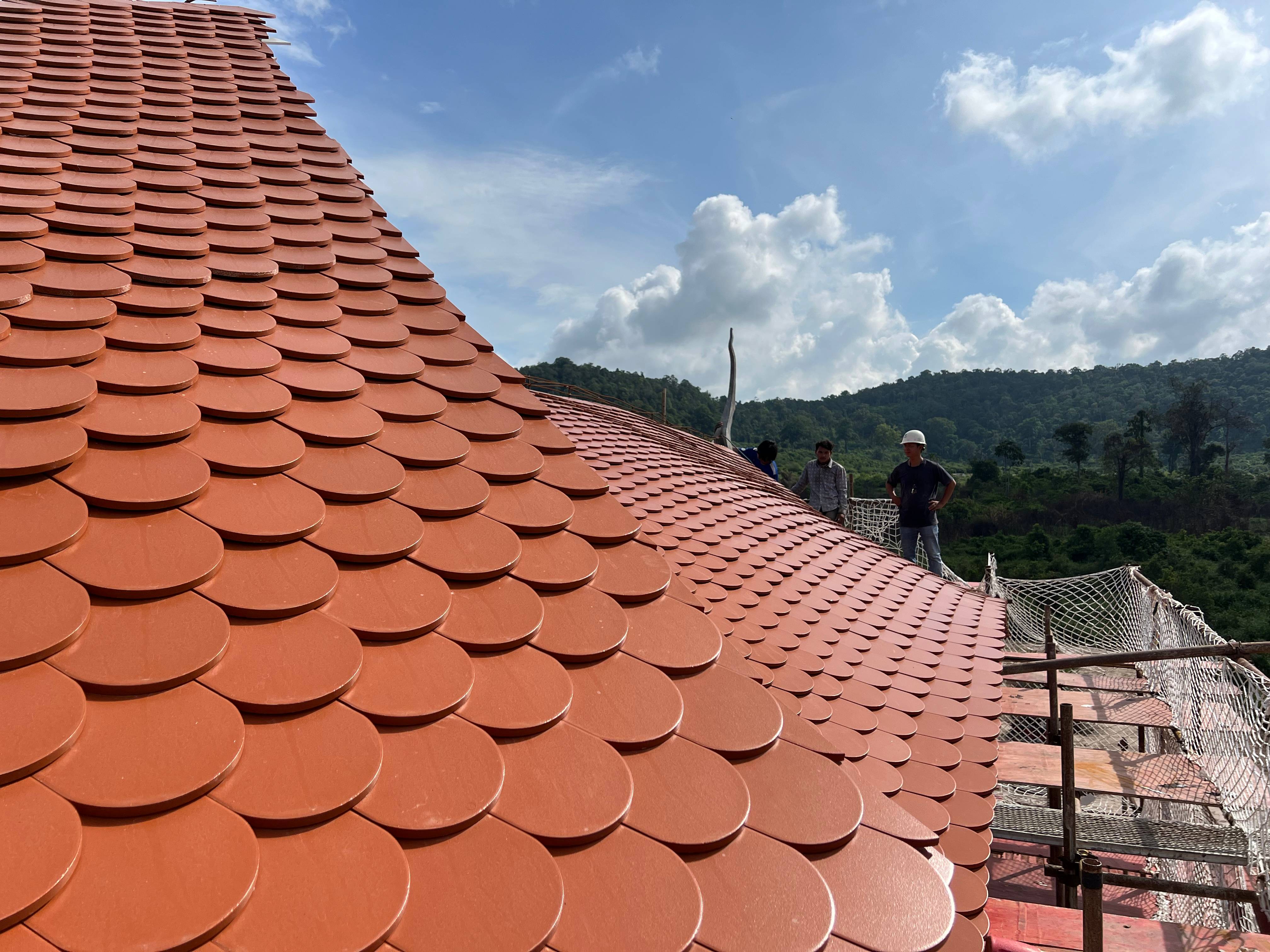 �Ų���ժҪ2024��22��